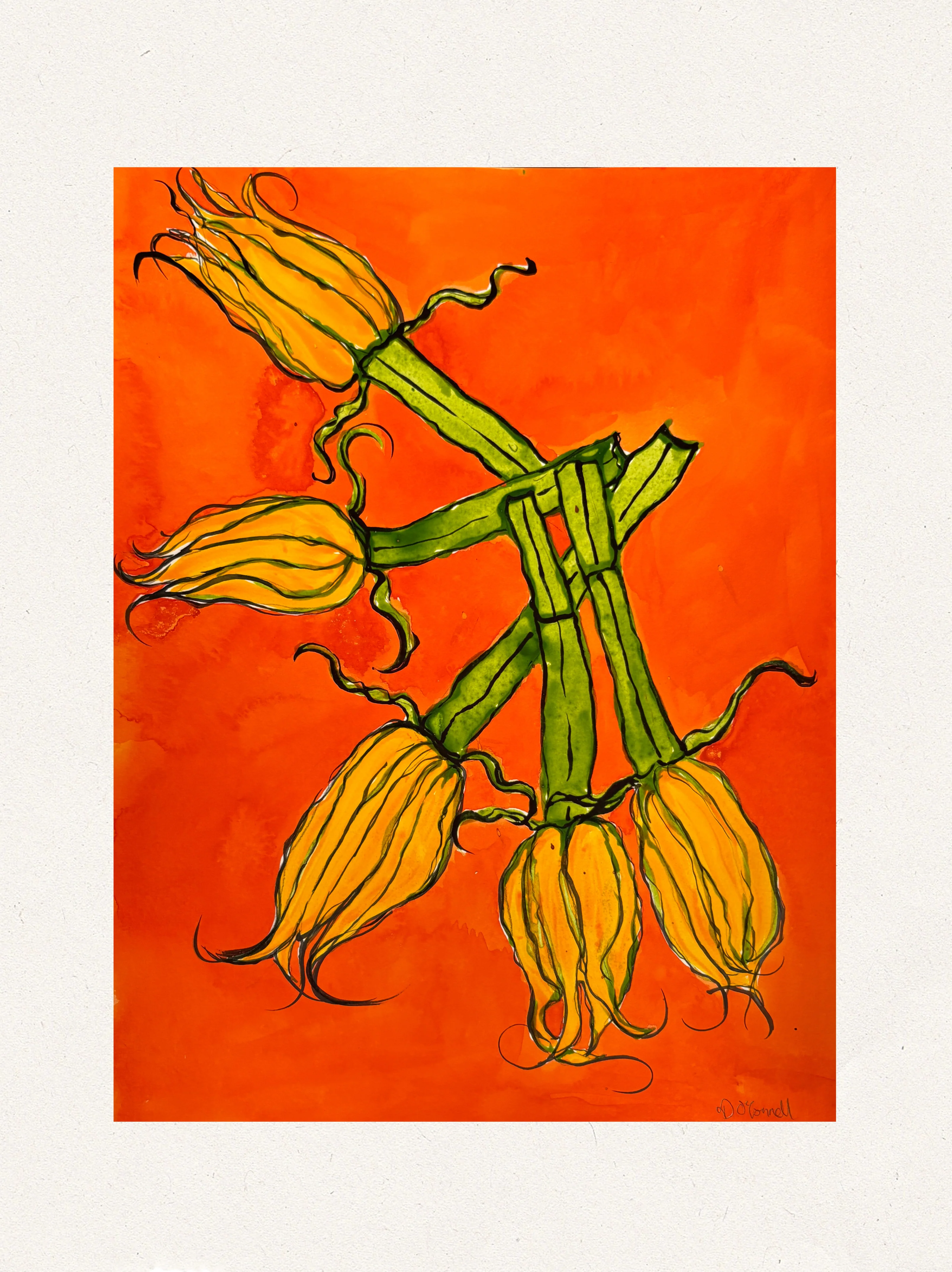 Squash Blossom II